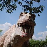 Dinosaur Land