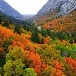 Scenic Drive in Big Cottonwood Canyon (Fall Colors!)