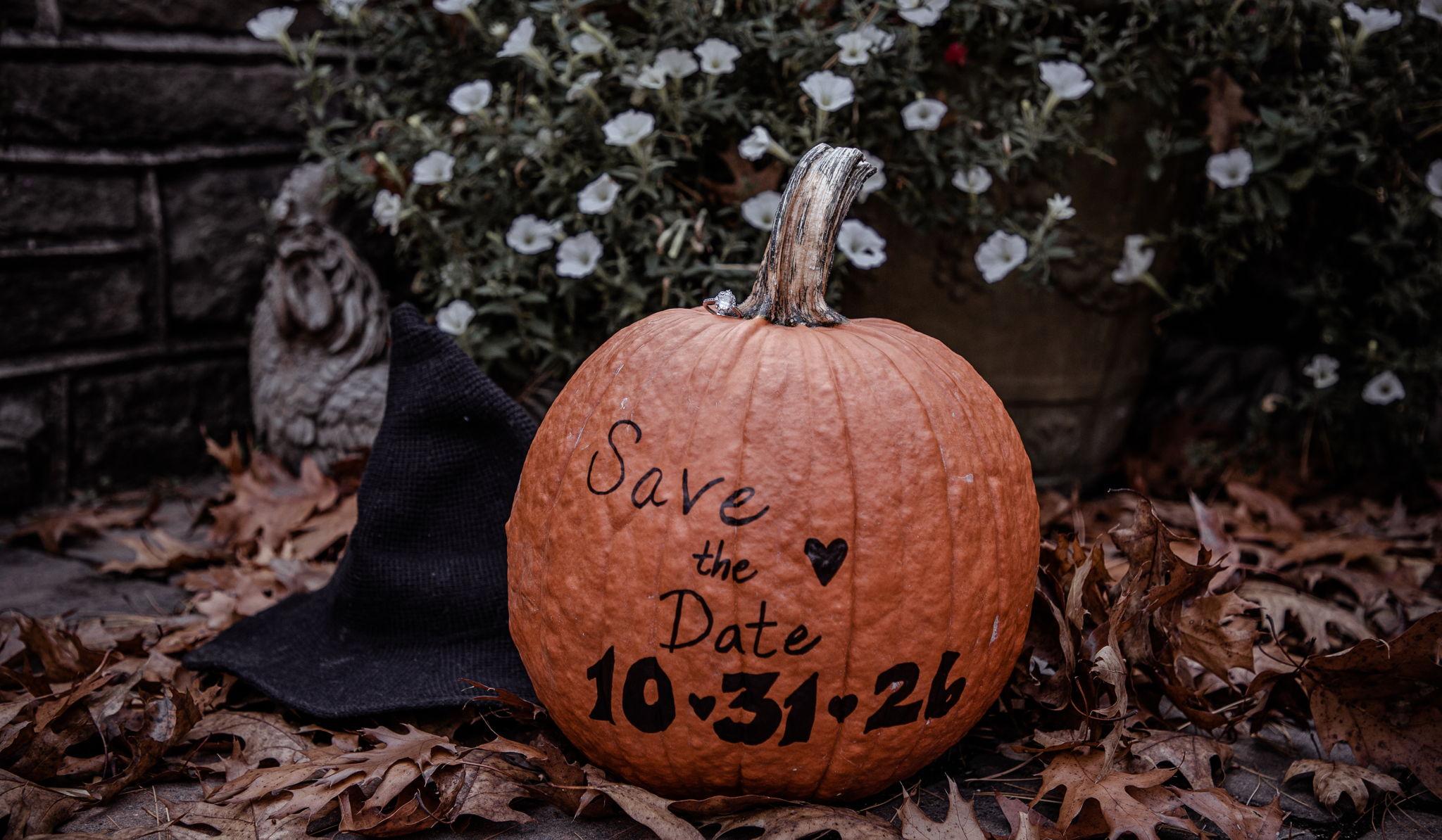 Hero Slideshow Image 2