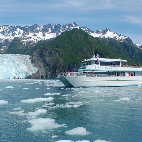 Kenai Fjords Boat Tour Ticket