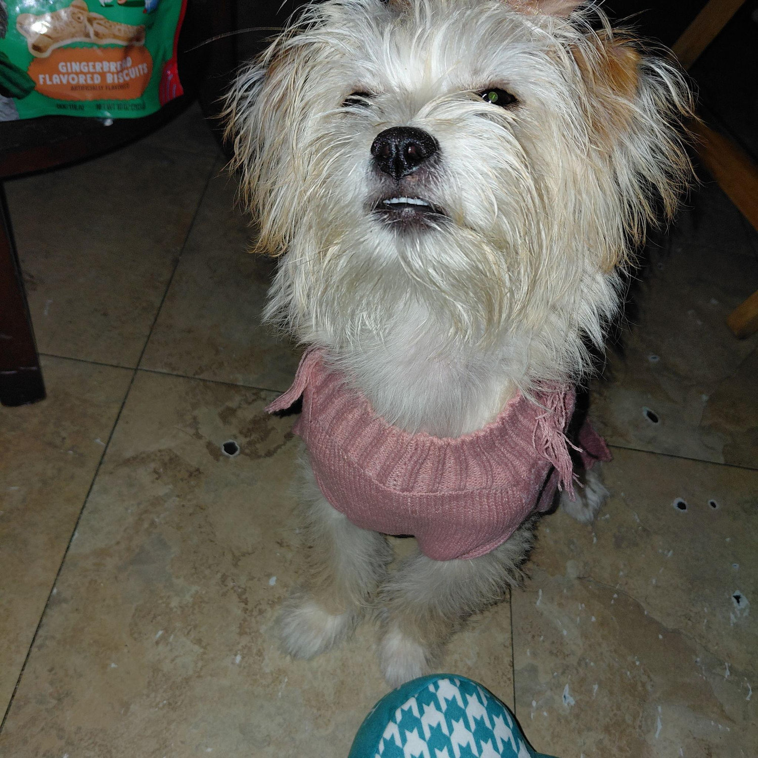 Bella R.U. Bejerano