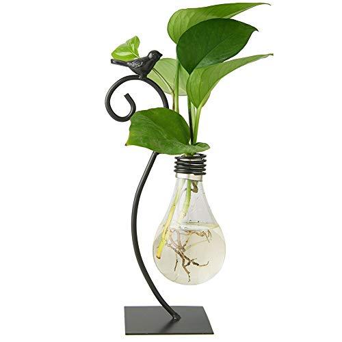 Marbrasse Desktop Glass Planter Hydroponics Vase,Planter Bulb Vase with Holder for Home Decoration,Modern Creative Bird Plant Terrarium Stand, Scindapsus Container