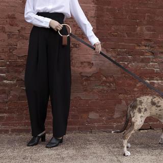 Lumi Leash