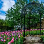 Pittsburgh Botanic Garden