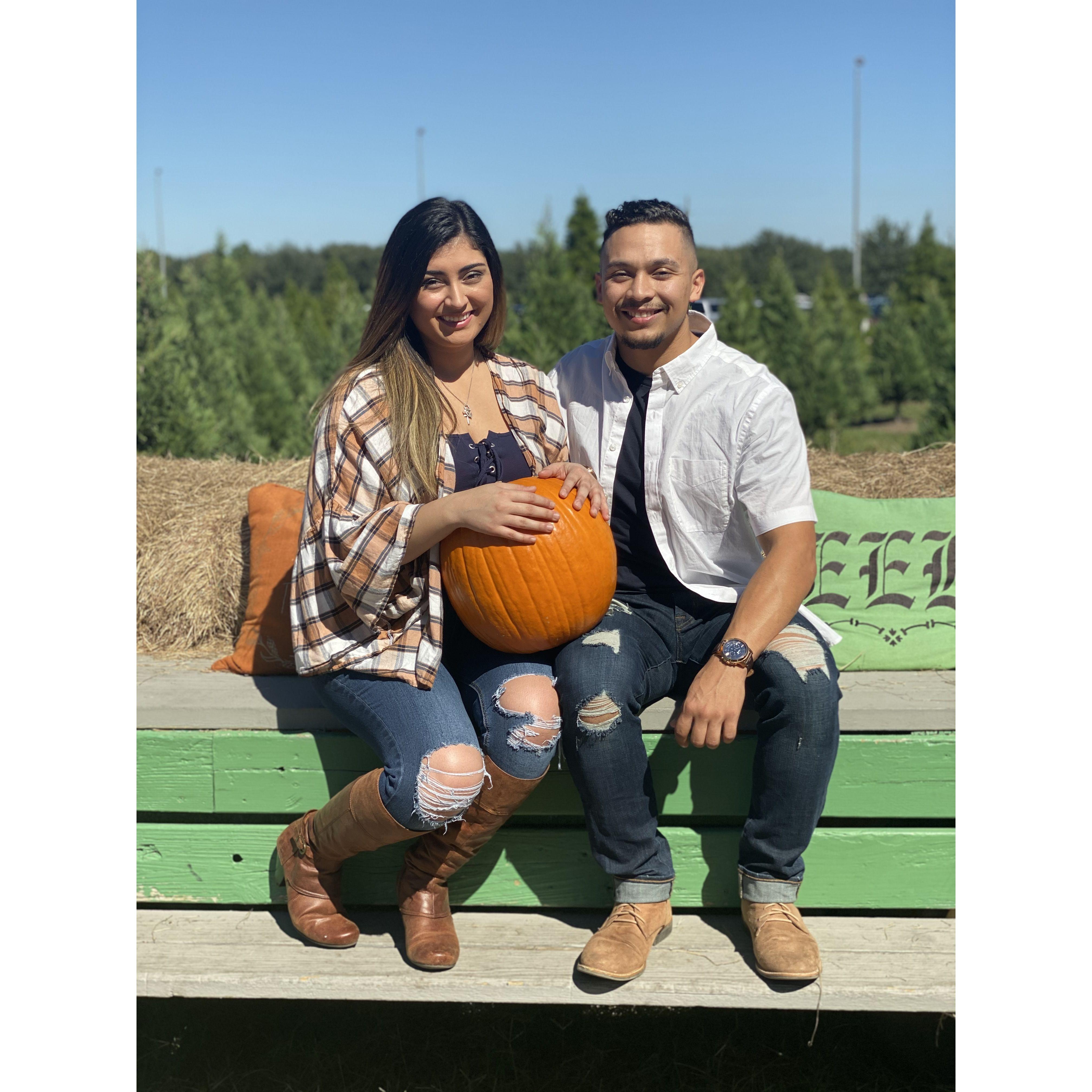 First Pumpkin Patch