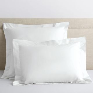 Company Cotton Percale Euro Sham