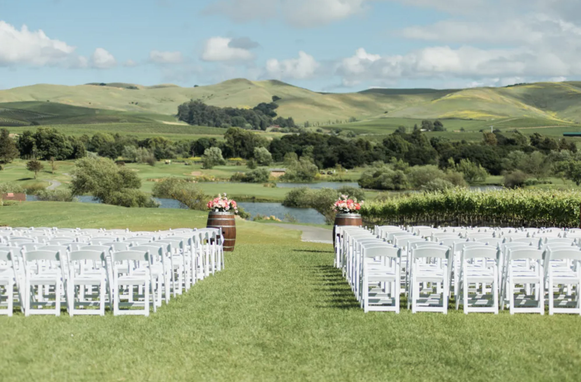 The Wedding Website of Dominique Brown and Tiffany Williams