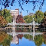 Boston Common