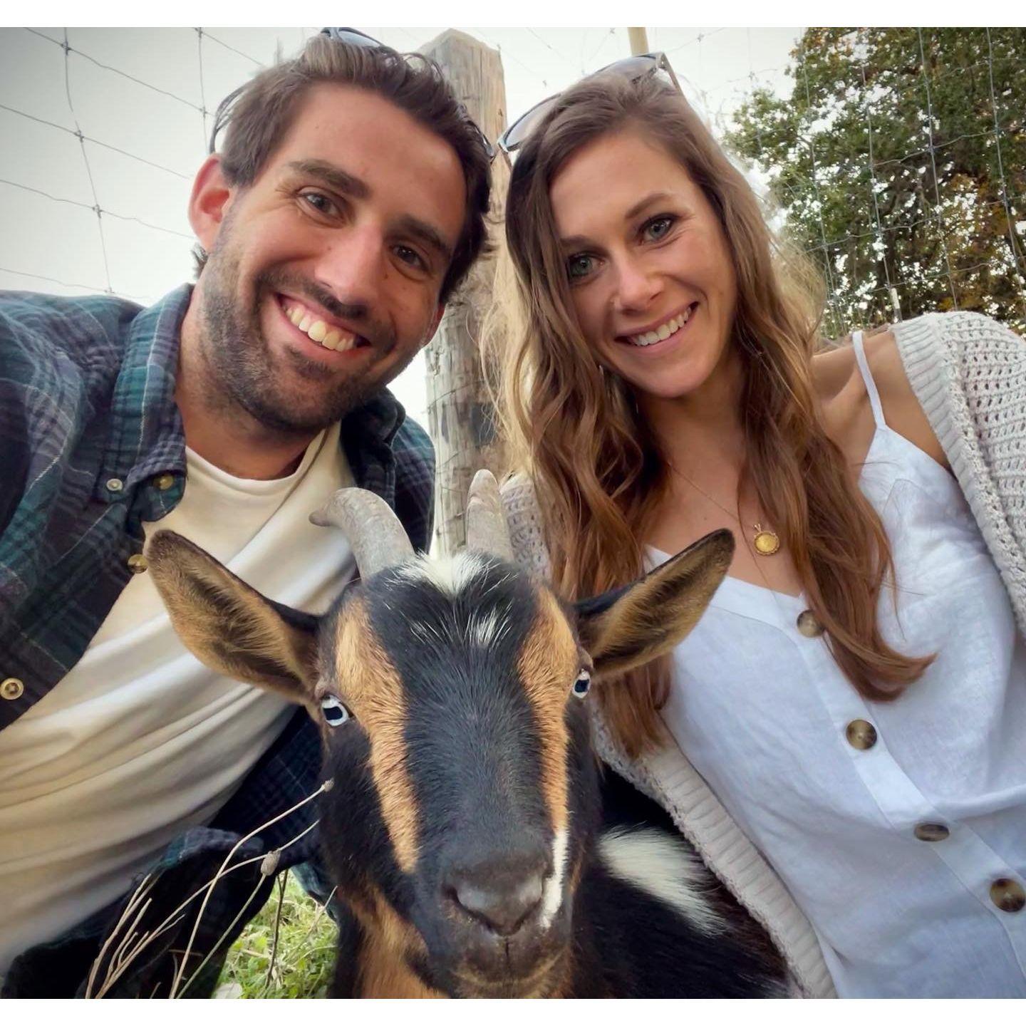GOAT