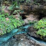 Kelly Park Rock Springs