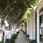 Melrose Avenue