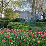 Cheekwood