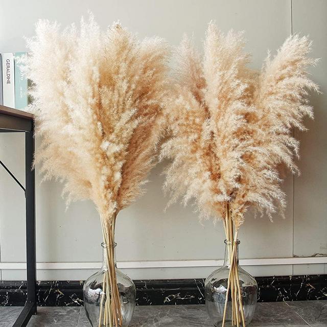 40" inch 10 Stems Natural Pampas Grass Decor Tall, pompas Grass, Tall Pampas Grass for Wedding, Party, Farmhouse, Boho Home Decor