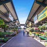Capitol Market