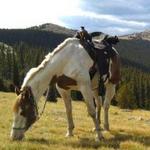 Horseback riding at Bear Mountain Stables