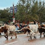 Fort Worth Stockyards Station