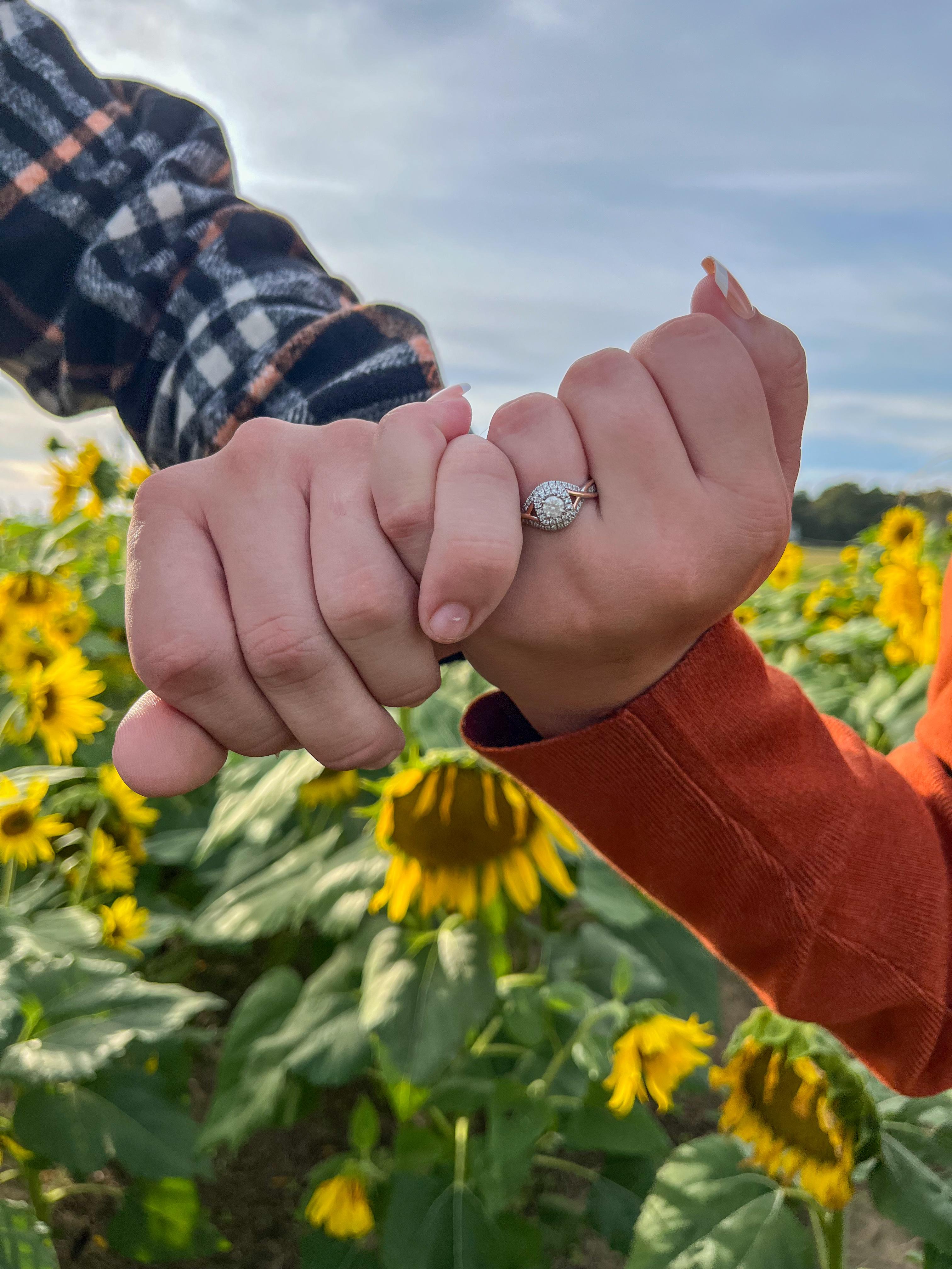The Wedding Website of Sierra Blair and Austin Oglesbee