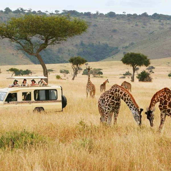 Honeymoon Fund - Tanzania