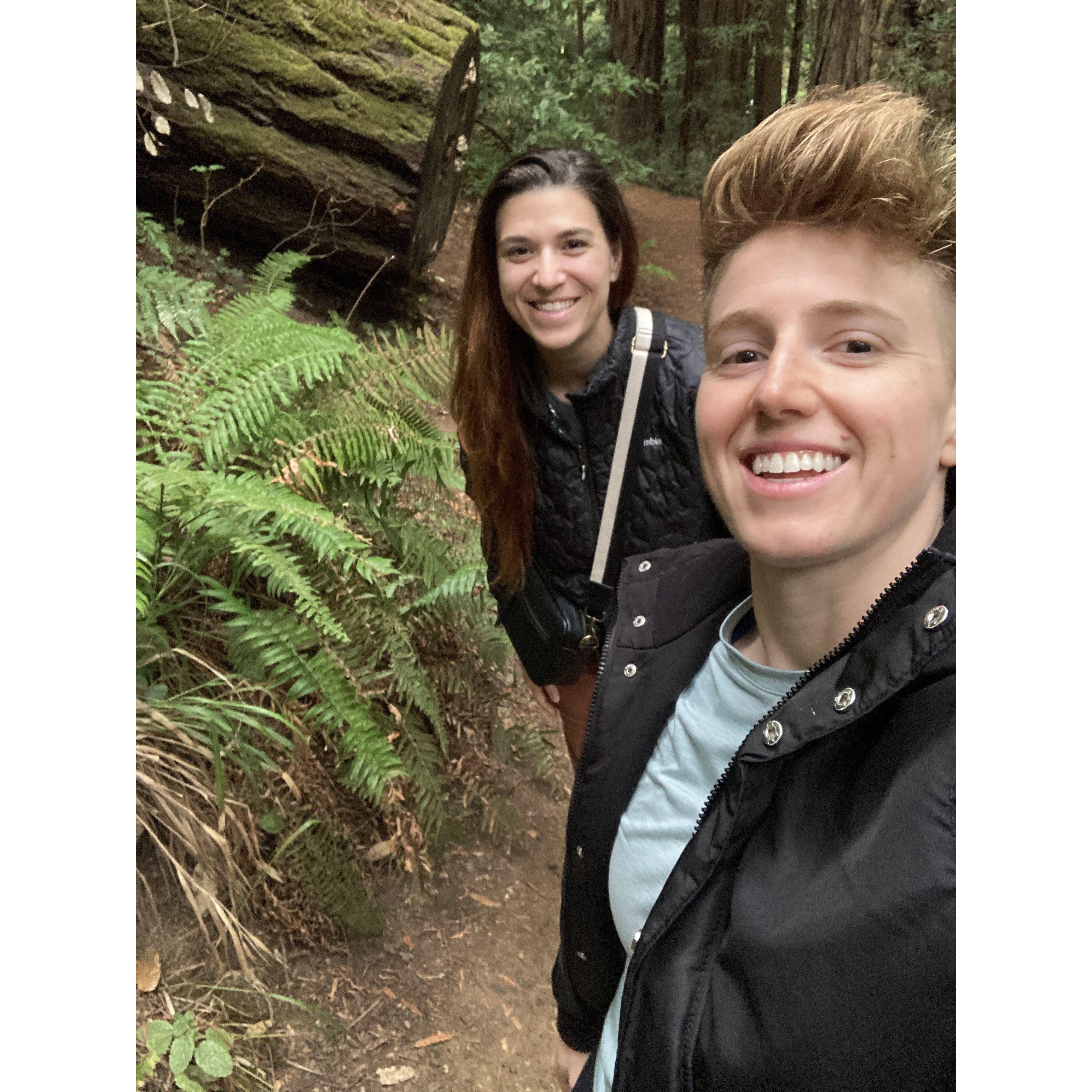 The trees in Muir Woods are almost as big as our love for each other.