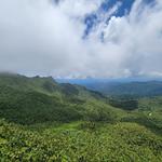 El Yunque National Forest