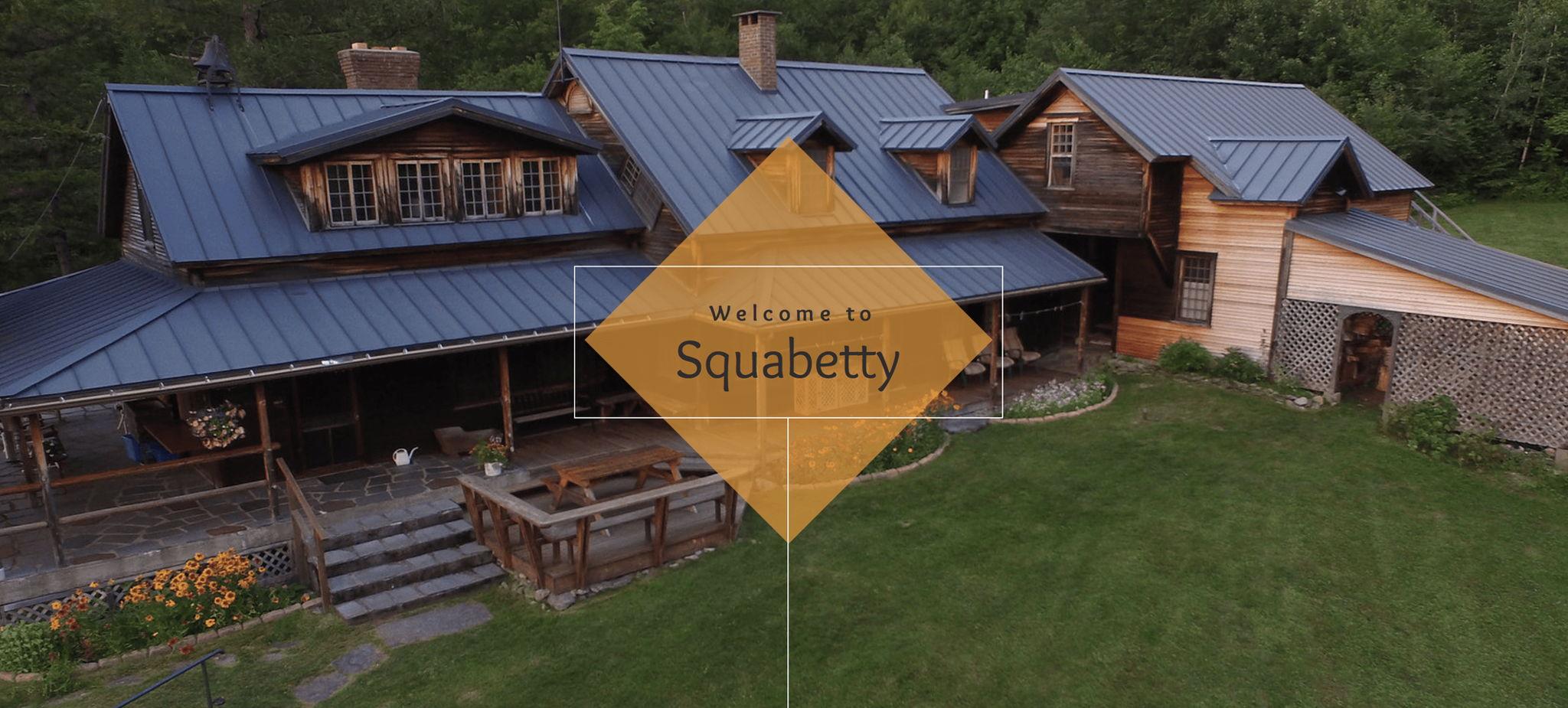 The Wedding Website of Soren Herron Donisvitch and Asha Dimatteo-Lepape