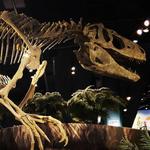 McWane Science Center