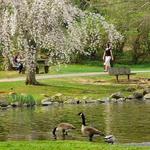 Duckpond Road Lot