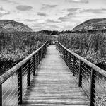 Constitution Marsh Audubon Center and Sanctuary