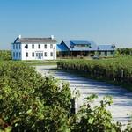 Ravine Vineyard Estate Winery