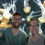 OdySea Aquarium