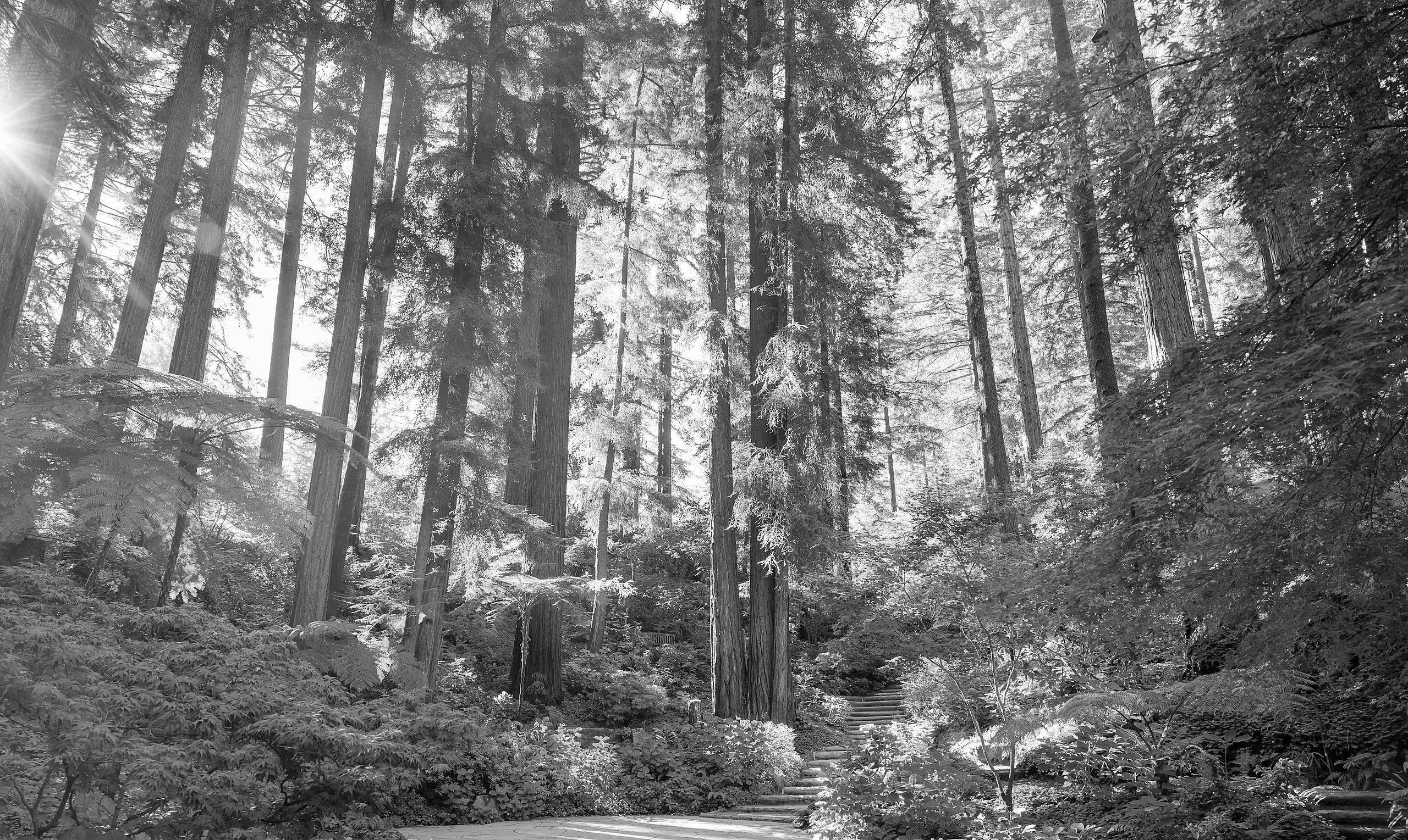 The Wedding Website of Chloe Tincher and Emma Koss