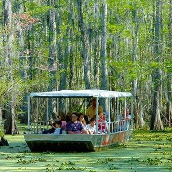 Group Swamp Tour Ticket - Saturday, April 4th, 2026