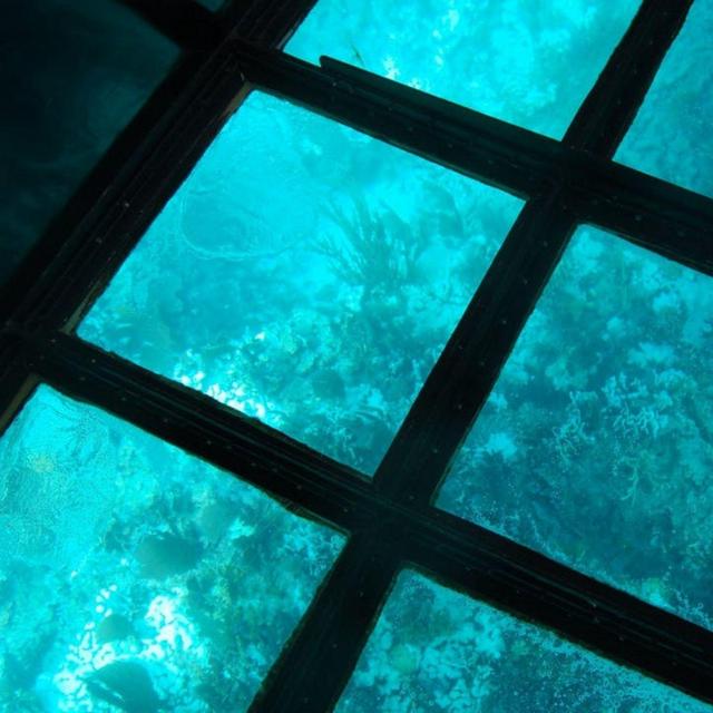 Glass Bottom Boat Cruise by Spur Experiences® (Key Largo, FL)