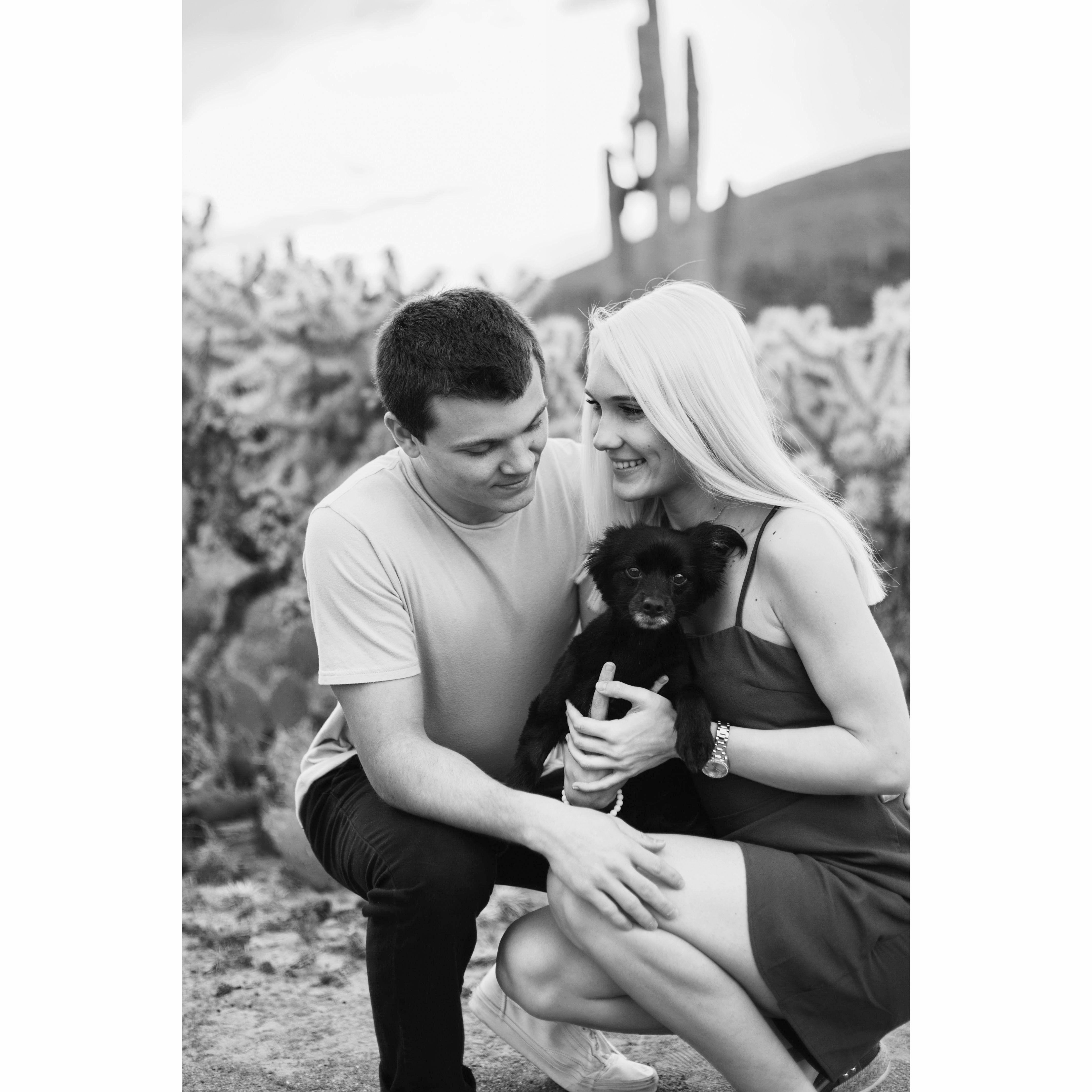 Cave Creek, AZ - February 2020