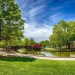Freedom Park