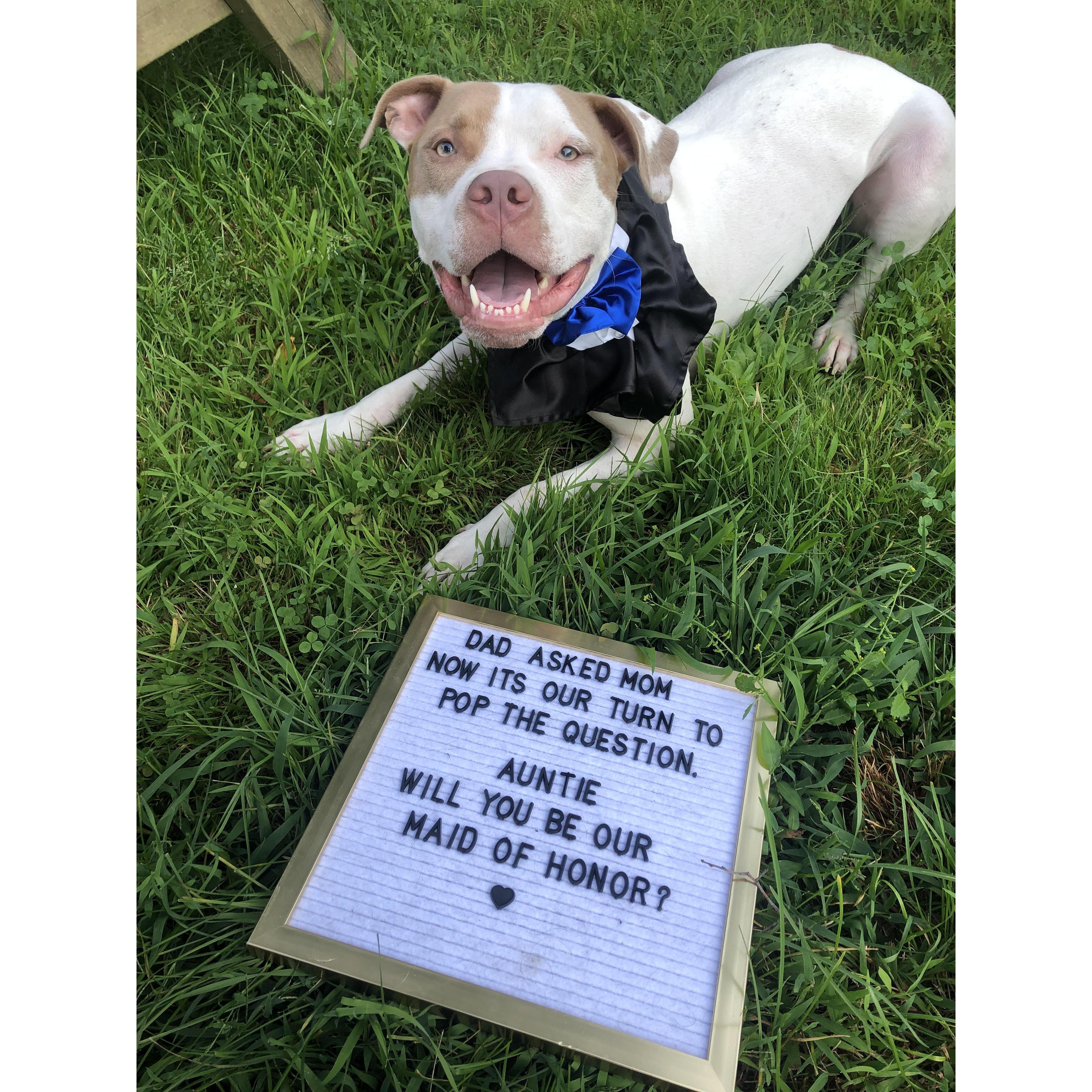 Of course Odie is involved in every step of the wedding planning!