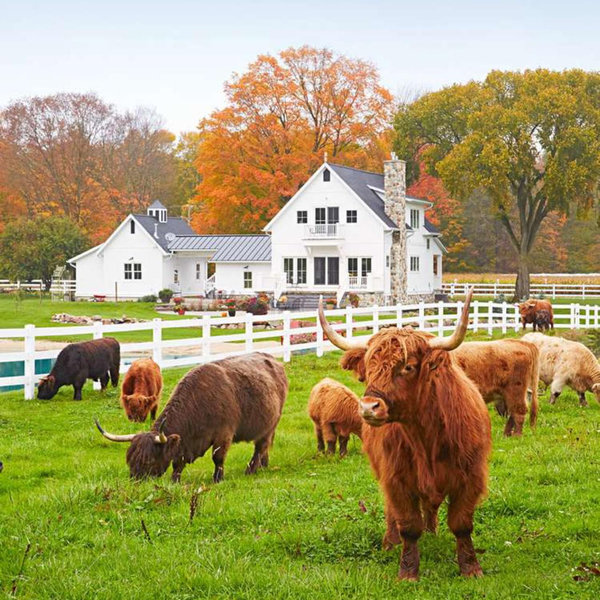 Homestead Fund