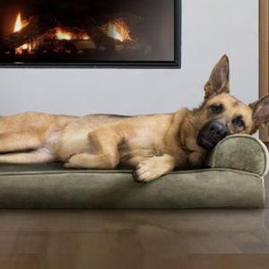 FURHAVEN Faux Fur Memory Top Bolster Dog Bed with Removable Cover, Dark Sage, Jumbo - Chewy.com