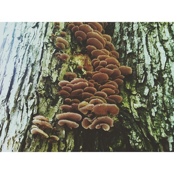 September 4th, 2013:
This was taken by Emilio during their very first camping trip together in the forests of Michigan.