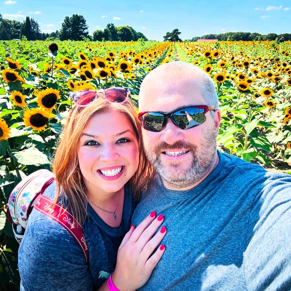 Sunflower Fields 🌻