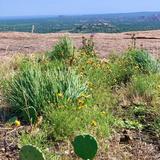 Enchanted Rock State Natural Area