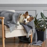 Brooklinen Throw Blanket, Pure Wool in Greige