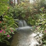 Florida Museum of Natural History-Exhibits