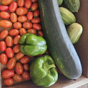 Garden Fund