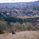 Chip Ross Park