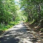Swamp Rabbit Trail