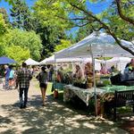 Bainbridge Island Farmers’ Market