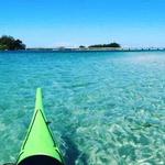 Kayak and Paddle Board Rentals