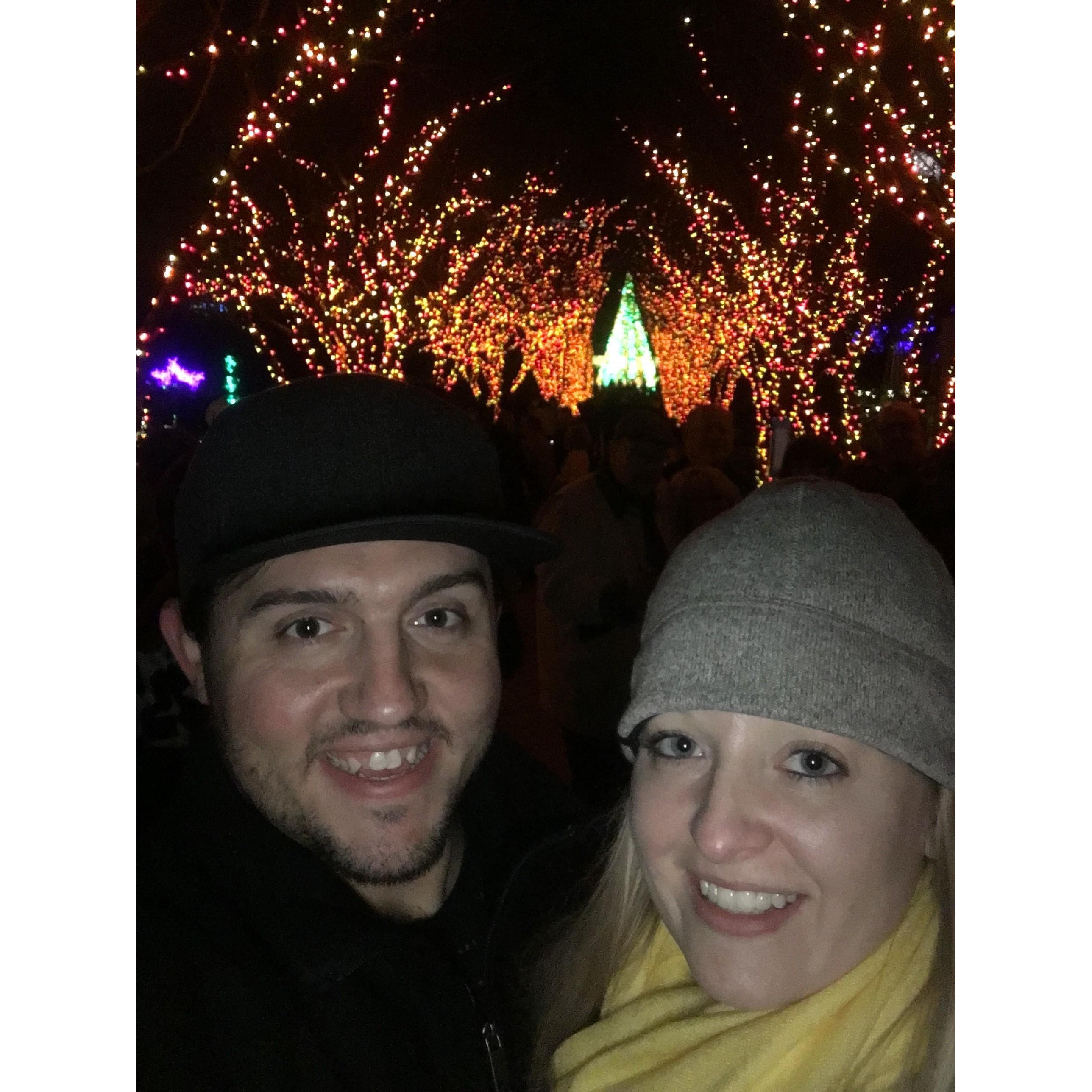 Garden Lights at Atlanta's Botanical Gardens