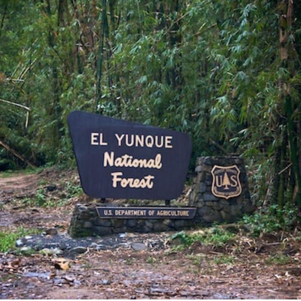 Visit El Yunque